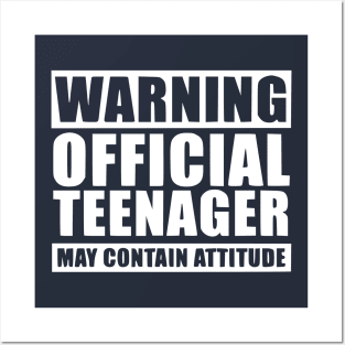 Warning Official Teenager T Shirt 13th Birthday Posters and Art